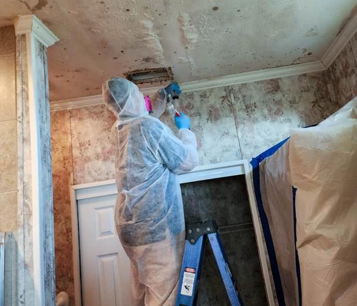 Team member in PPE working with a mold infestation.