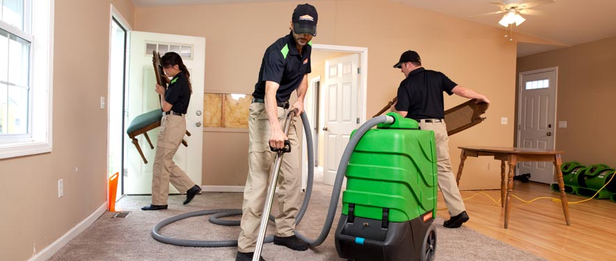 Valrico, FL cleaning services